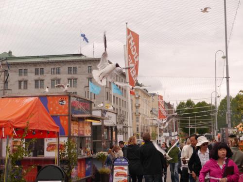 P1020846.JPG