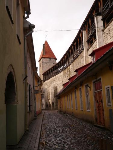 P1020394.JPG