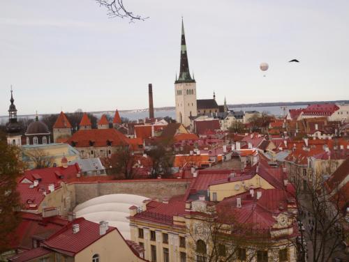 P1020437.JPG