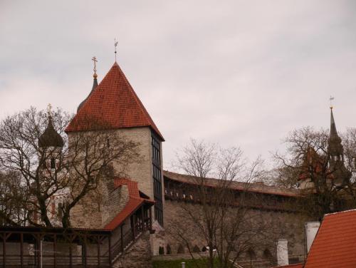 P1020323.JPG