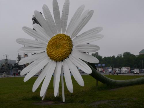 P1020487.JPG