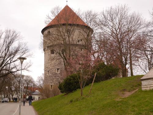 P1020322.JPG