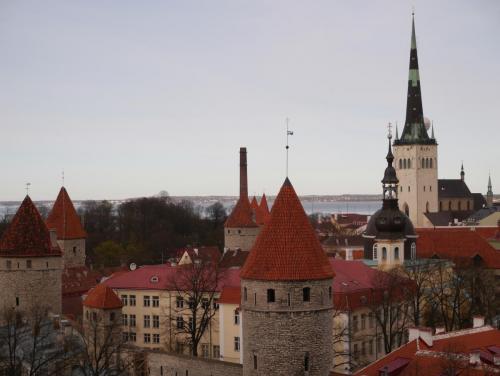 P1020434.JPG