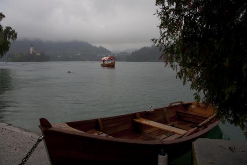 2015_09_14 Озеро Блед Словения 008.jpg