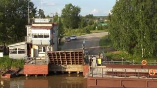 Калина красная.jpg