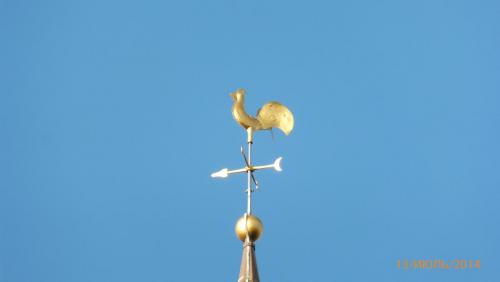 11640.JPG