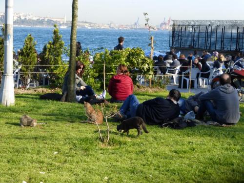 P1090580.JPG