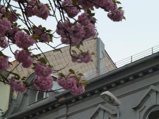 P1150981.JPG