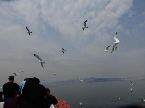 P1090995.JPG
