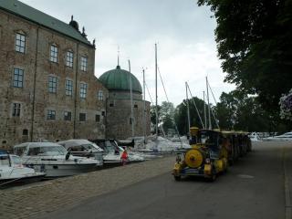 P1110354.JPG