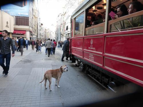 P1090598.JPG