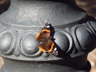 P1050876.JPG