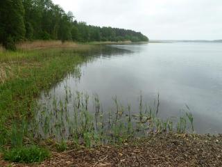 P1090760.JPG