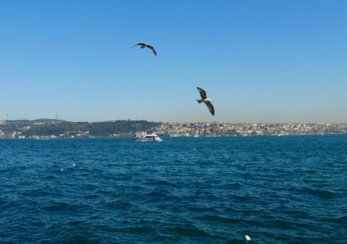 P1090551.JPG