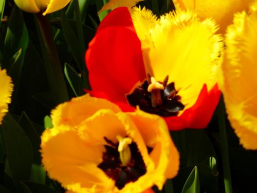 P1090751.JPG