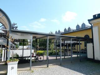 P1100877.JPG