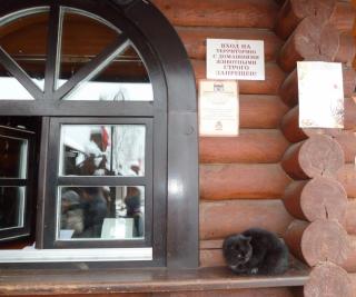 P1050080.JPG
