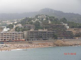 CIMG2935.JPG