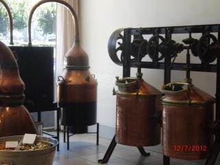 CIMG2891.JPG