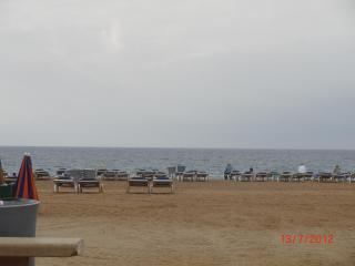 CIMG2910.JPG
