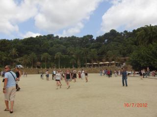CIMG3229.JPG