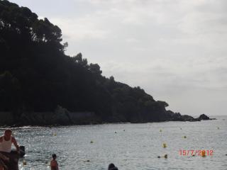 CIMG3118.JPG