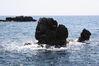 201302041234435423.jpg