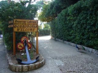 lokrum028.jpg