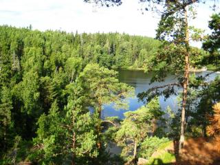 IMG_7217.jpg
