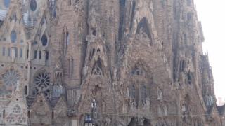 DSC02131.JPG
