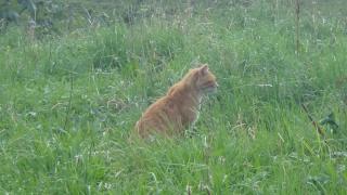 DSC02963.JPG