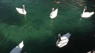 DSC02840.JPG