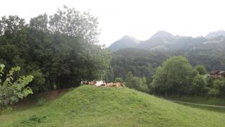 DSC02965.JPG