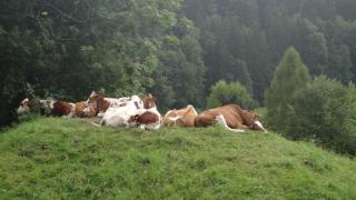 DSC02964.JPG