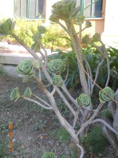 DSCN2363.JPG