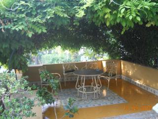 DSCN2471.JPG