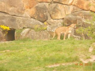 DSCN1409.JPG