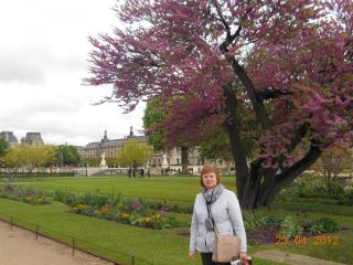 DSCN1729.JPG
