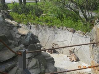 DSCN1396.JPG
