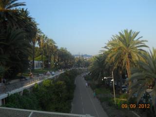 DSCN2384.JPG