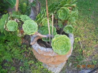 DSCN2470.JPG
