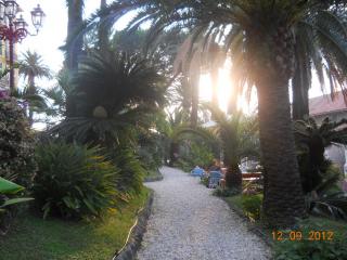 DSCN2472.JPG