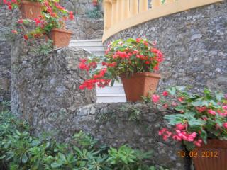 DSCN2460.JPG