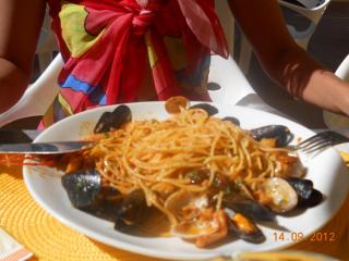 DSCN2537.JPG