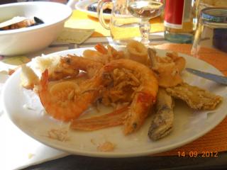 DSCN2542.JPG