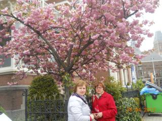DSCN1419.JPG