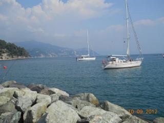 DSCN2437.JPG