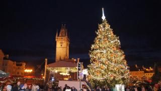 DSC01088.JPG