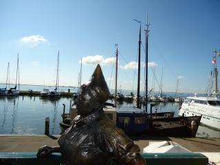 DSC00774.JPG