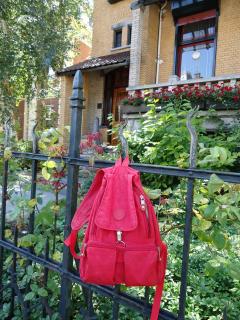 DSC00800.JPG